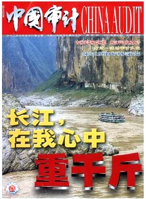 《中国审计》经济核心期刊