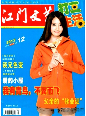 江门文艺杂志文艺方面的刊物