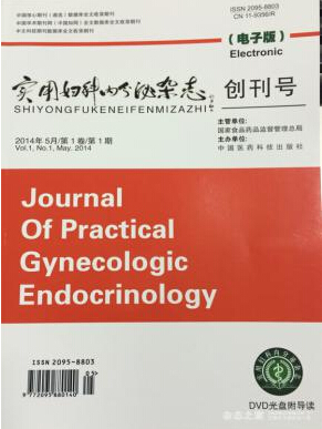 实用妇科内分泌杂志评妇科职称