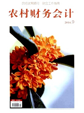 农村财务会计杂志财务管理期刊论文