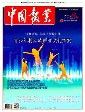 中国报业杂志高级职称论文