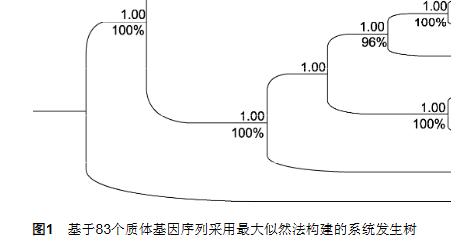 太行山近期隆升促进太行花属(蔷薇科)谱系分化