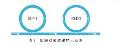 基于串联双微腔同时实现不同特征的光频梳