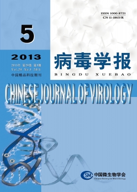 《病毒学报》核心论文发表
