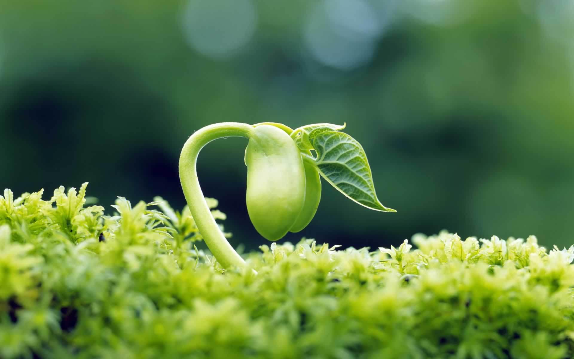 ũҵڿ