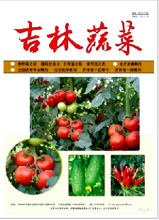 吉林蔬菜农业职称论文