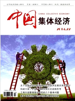 中国集体经济杂志论文