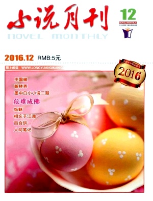 小说月刊杂志文学期刊