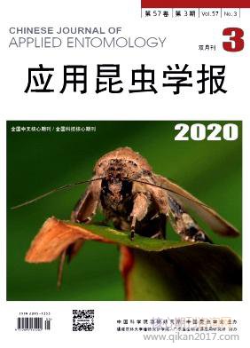 Ӧѧ