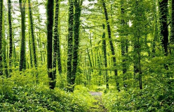 ũҵ���ķ���