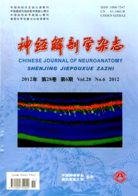 医学核心期刊《神经解剖学杂志》